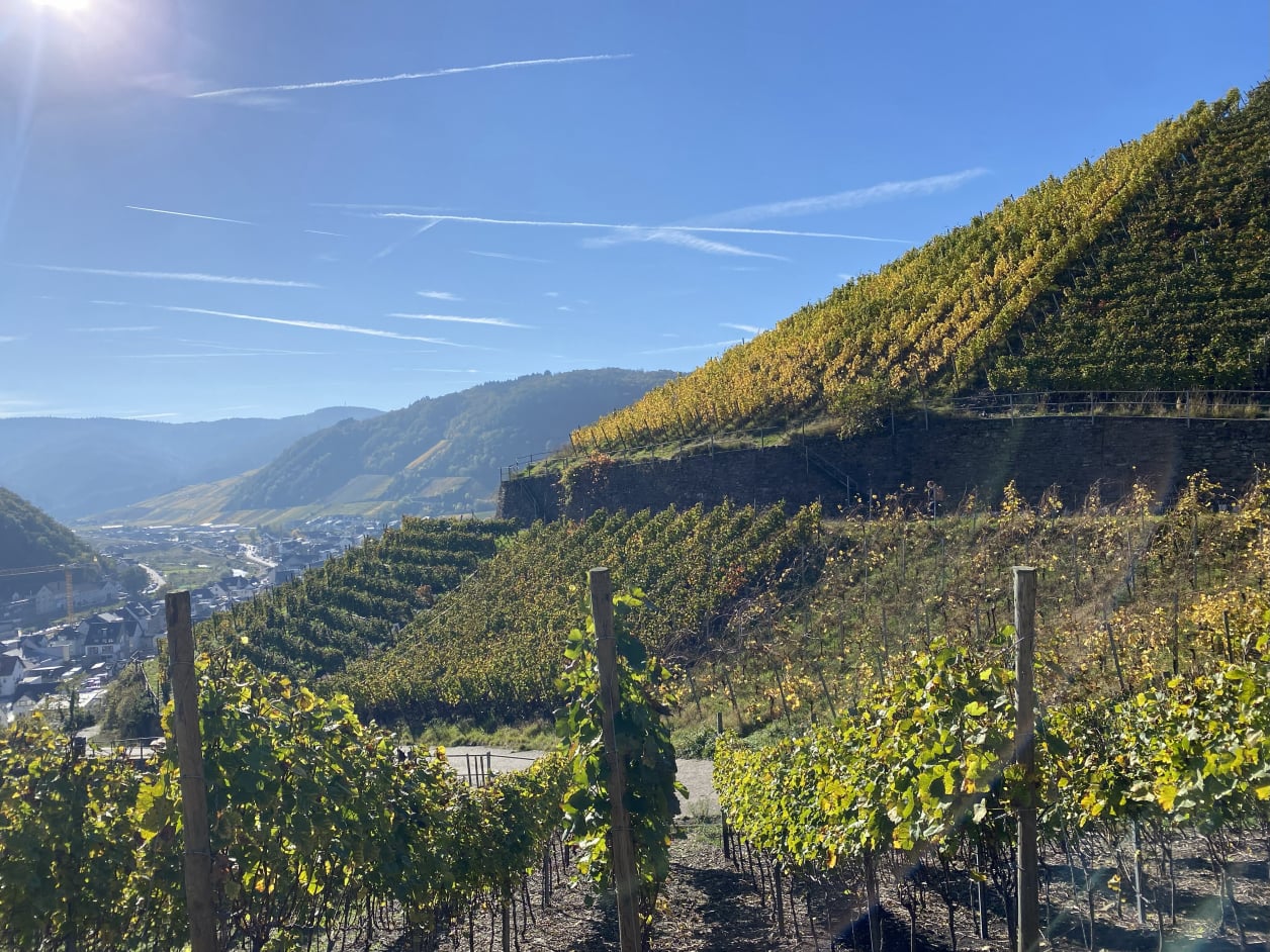 Ahrtal bei Dernau im Herbst